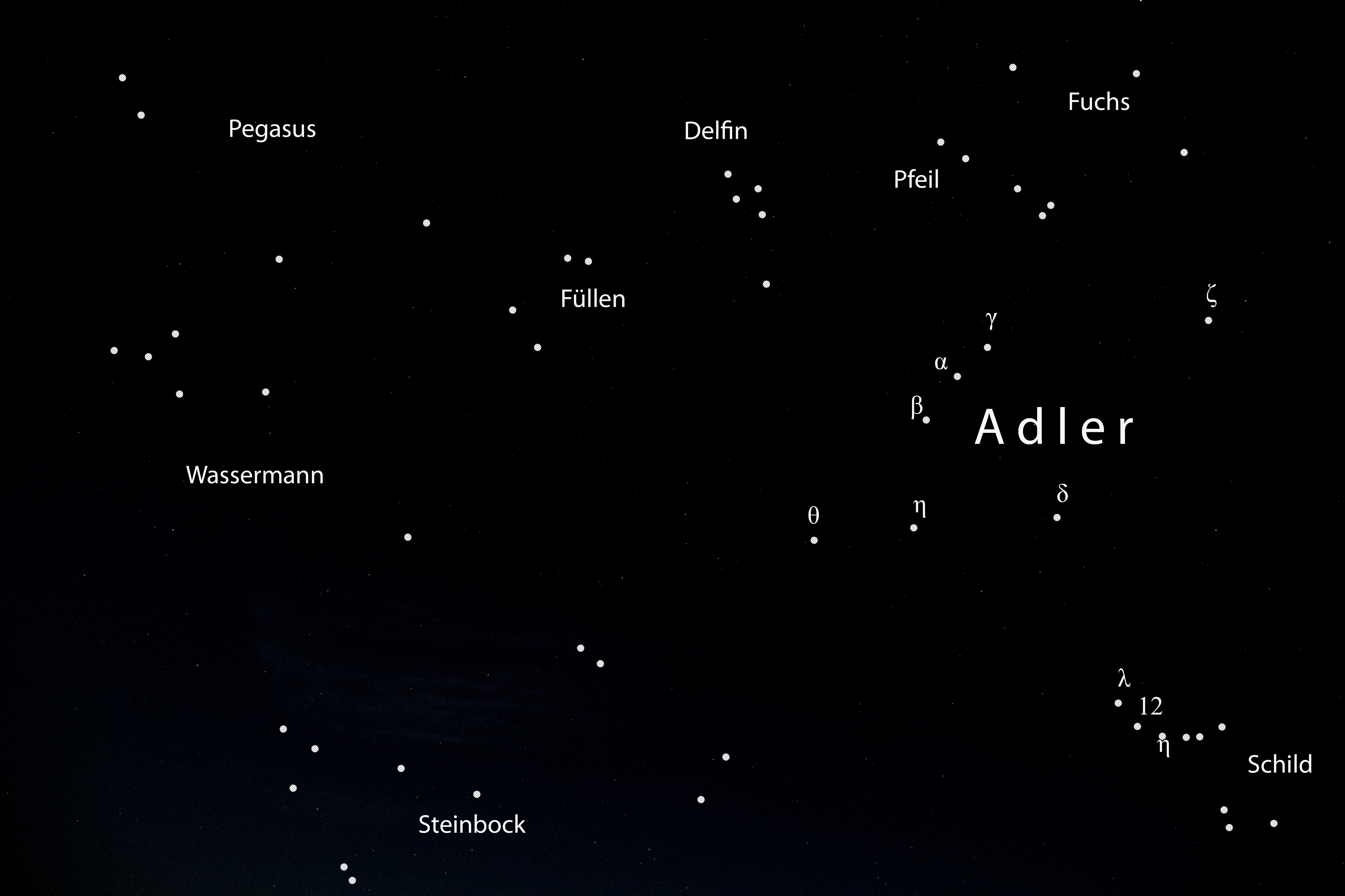 Adler