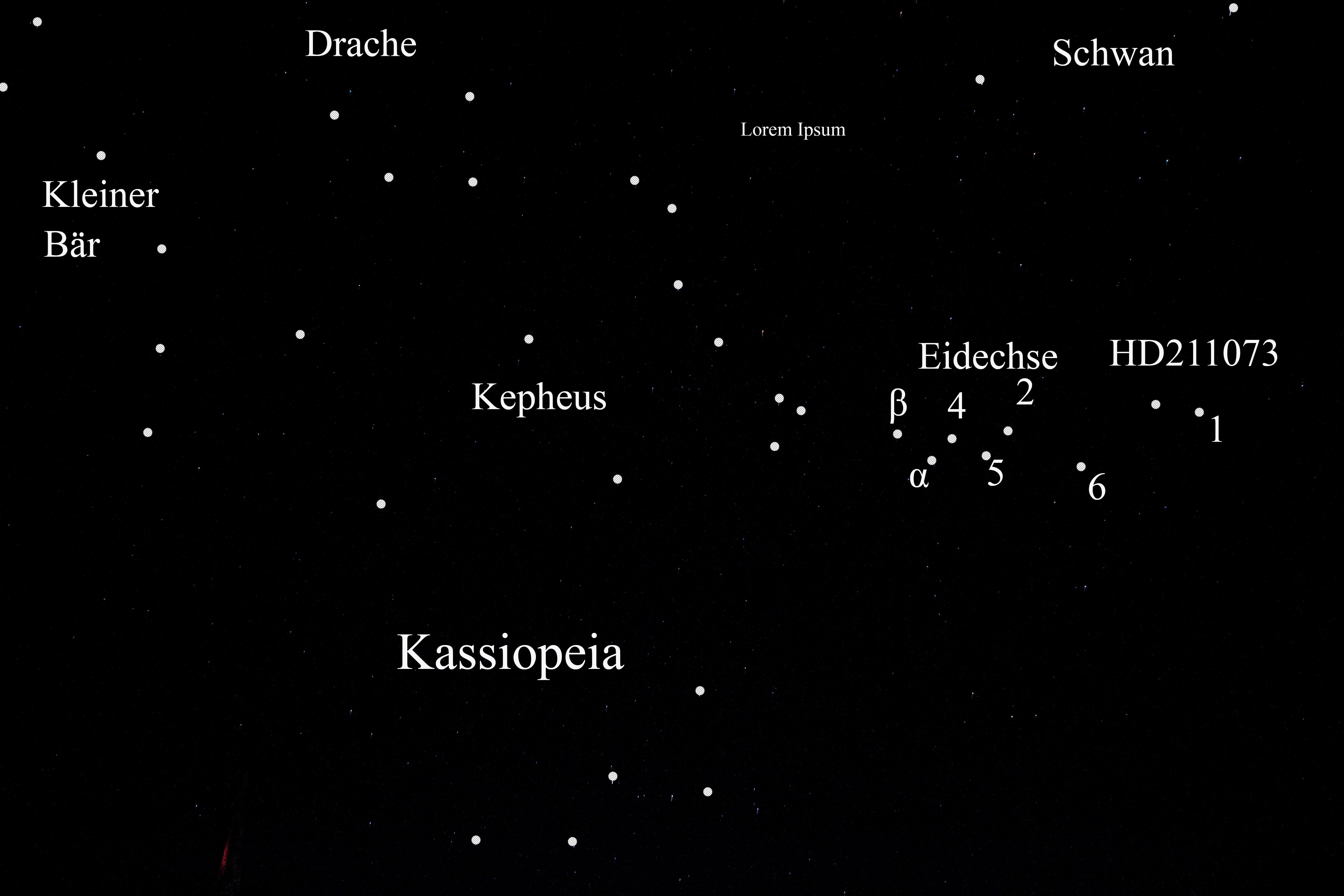 Eidechse1