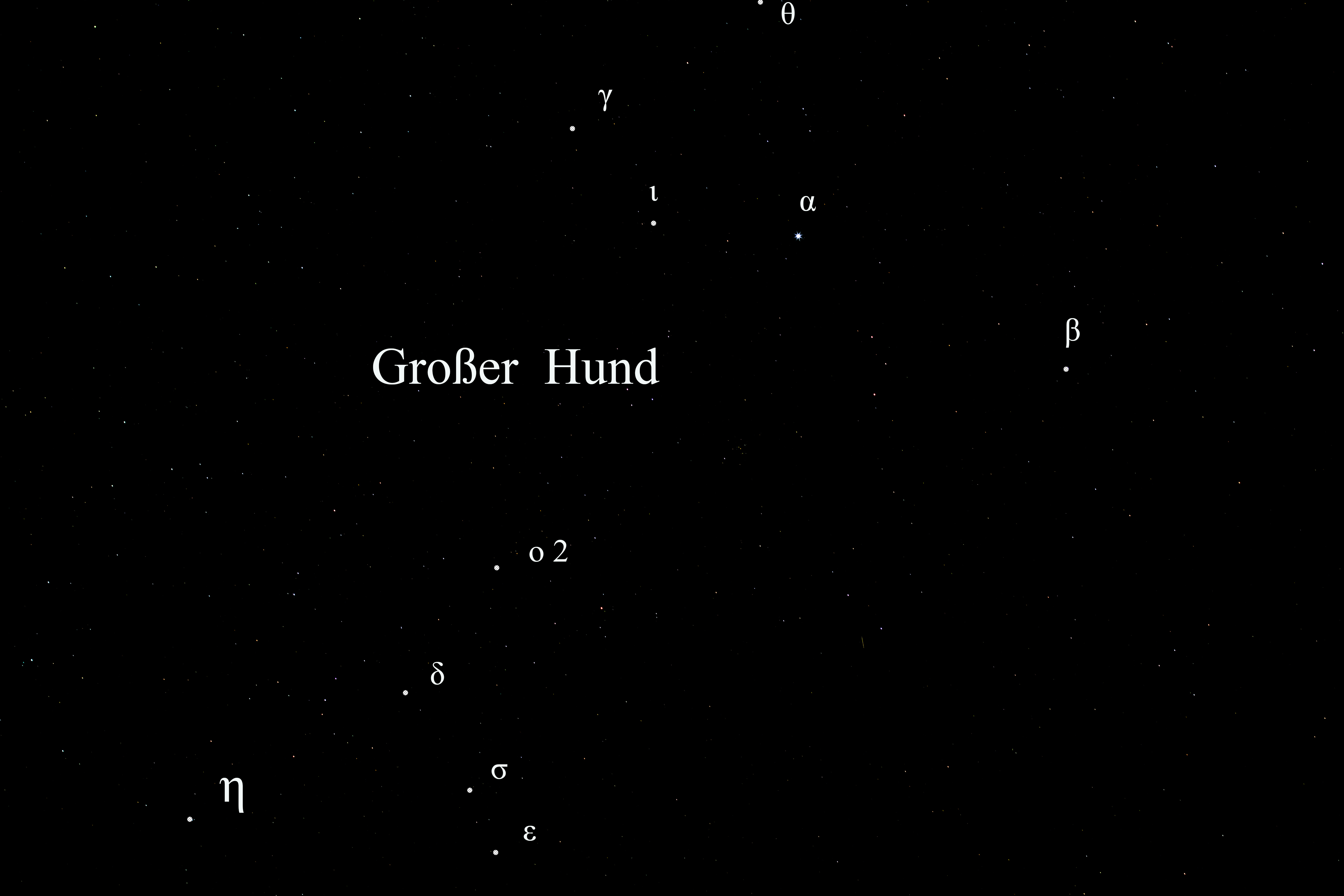 GrosserHund