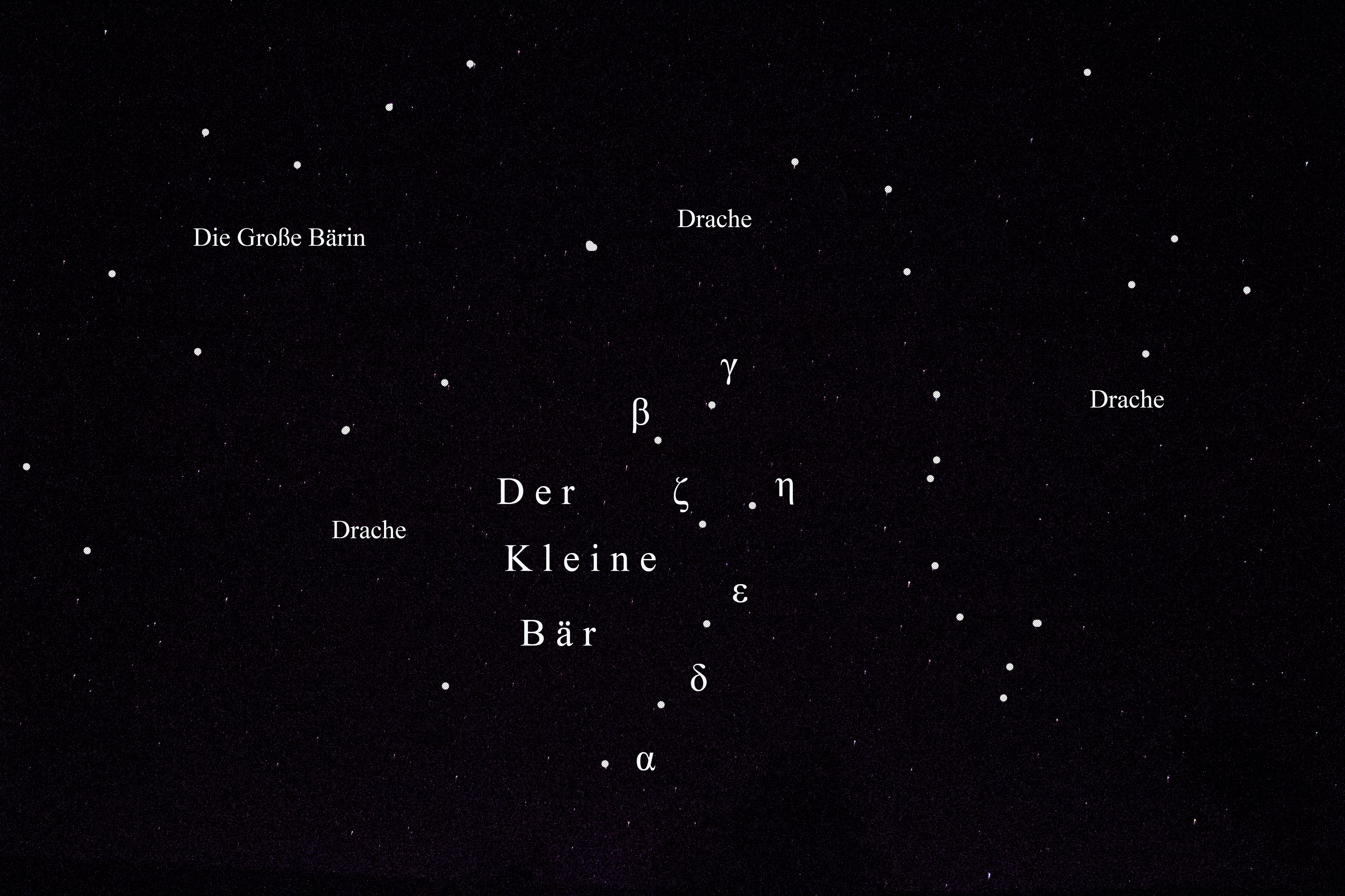 KleinerBaer