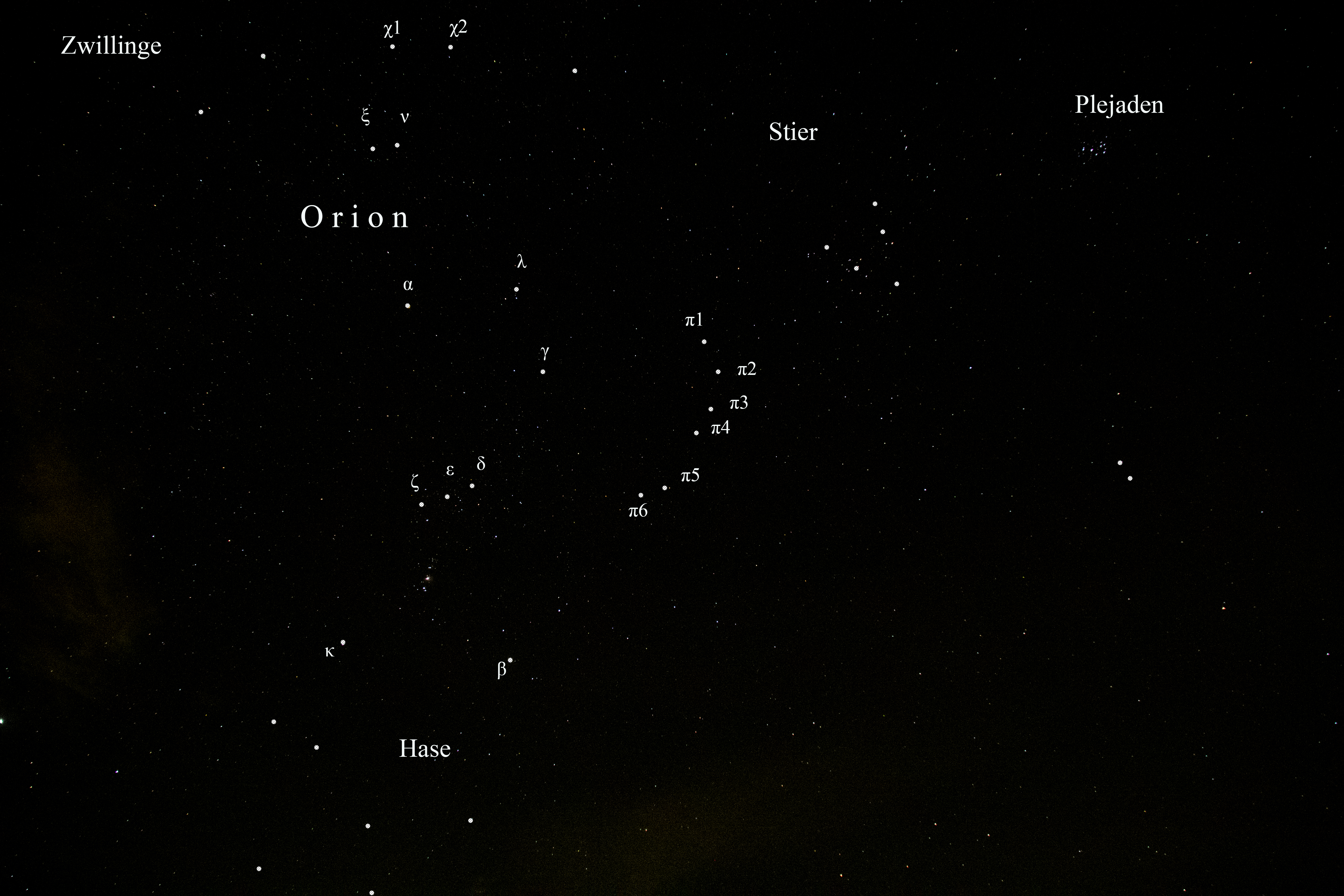 Orion