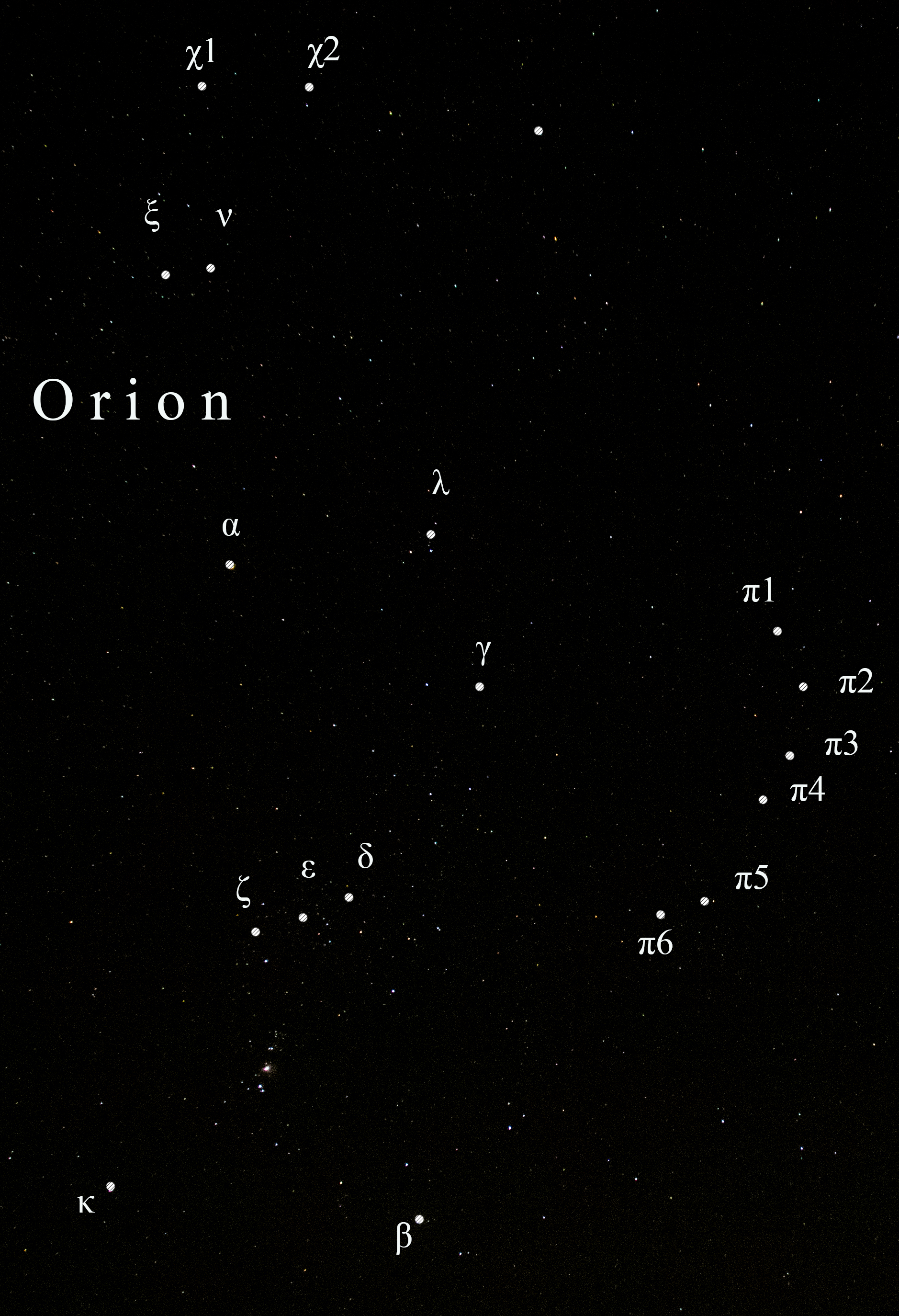 Orion