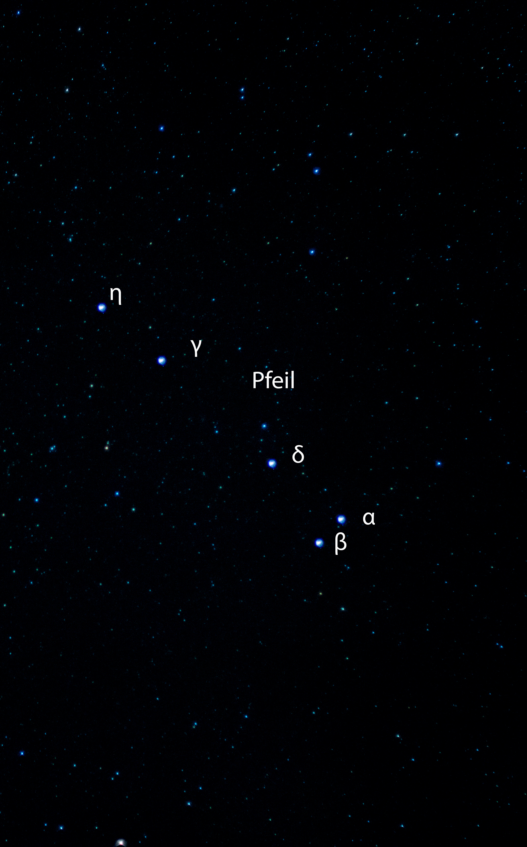Pfeil