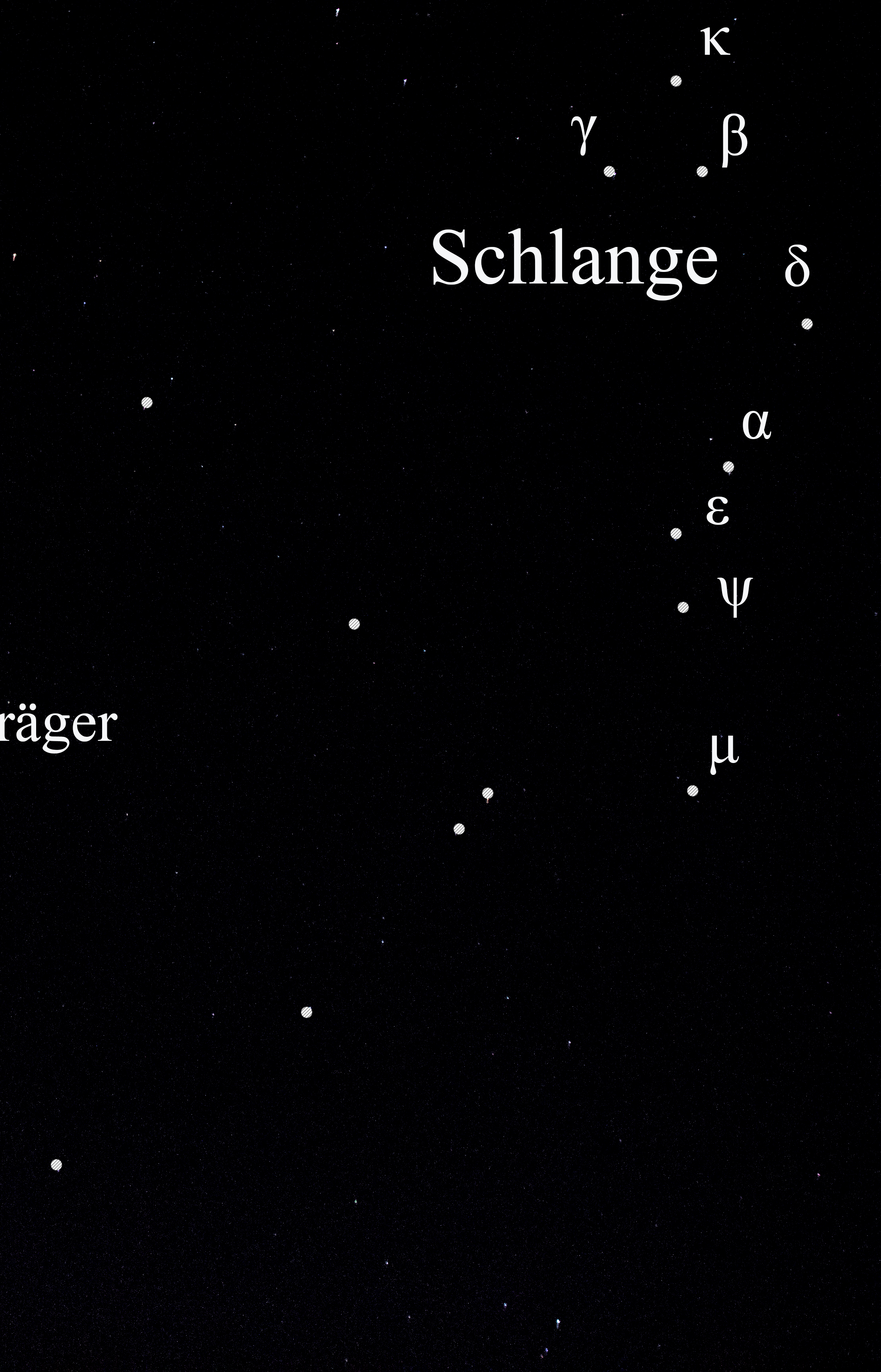 Schlange1