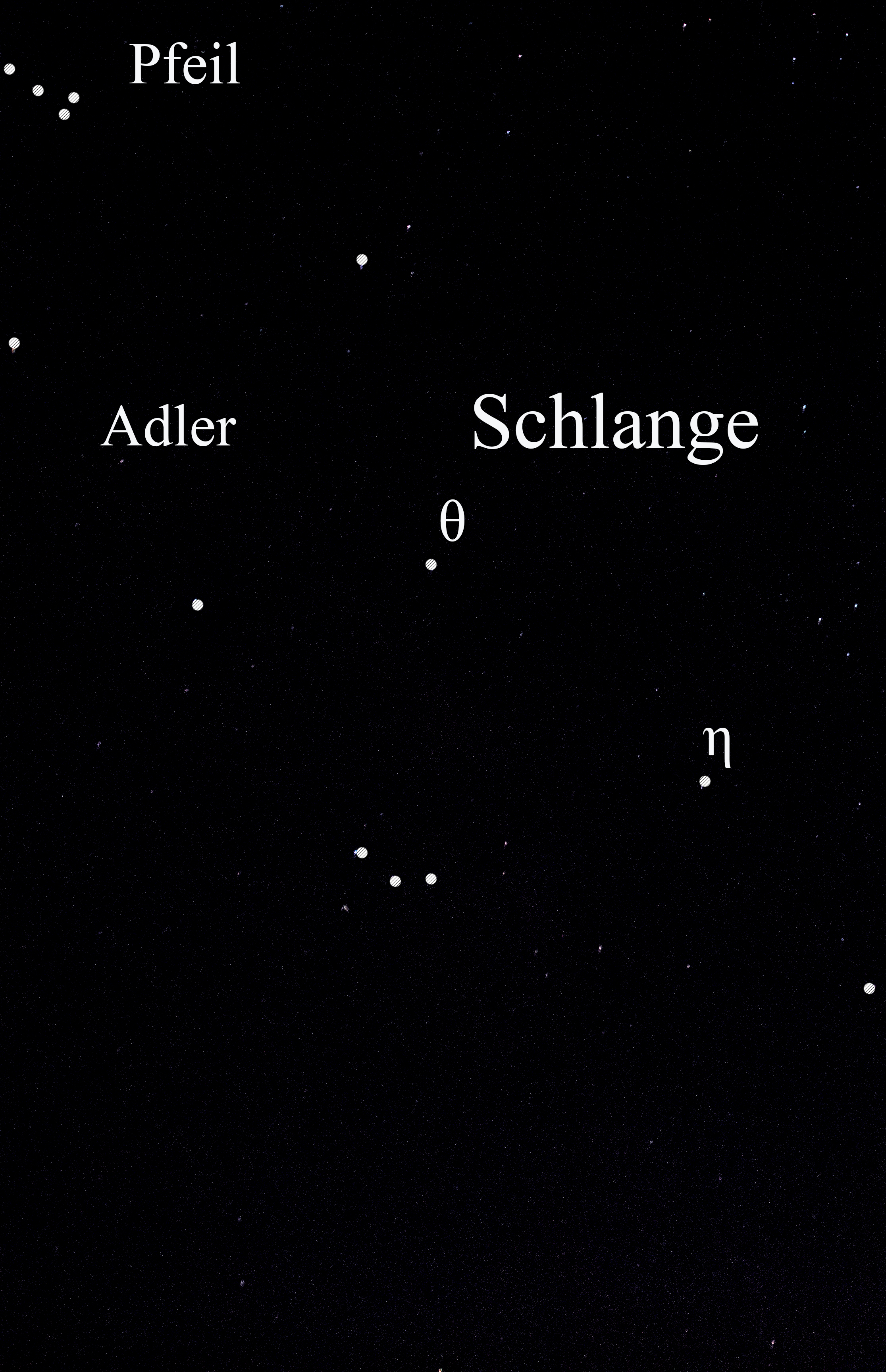 Schlange2