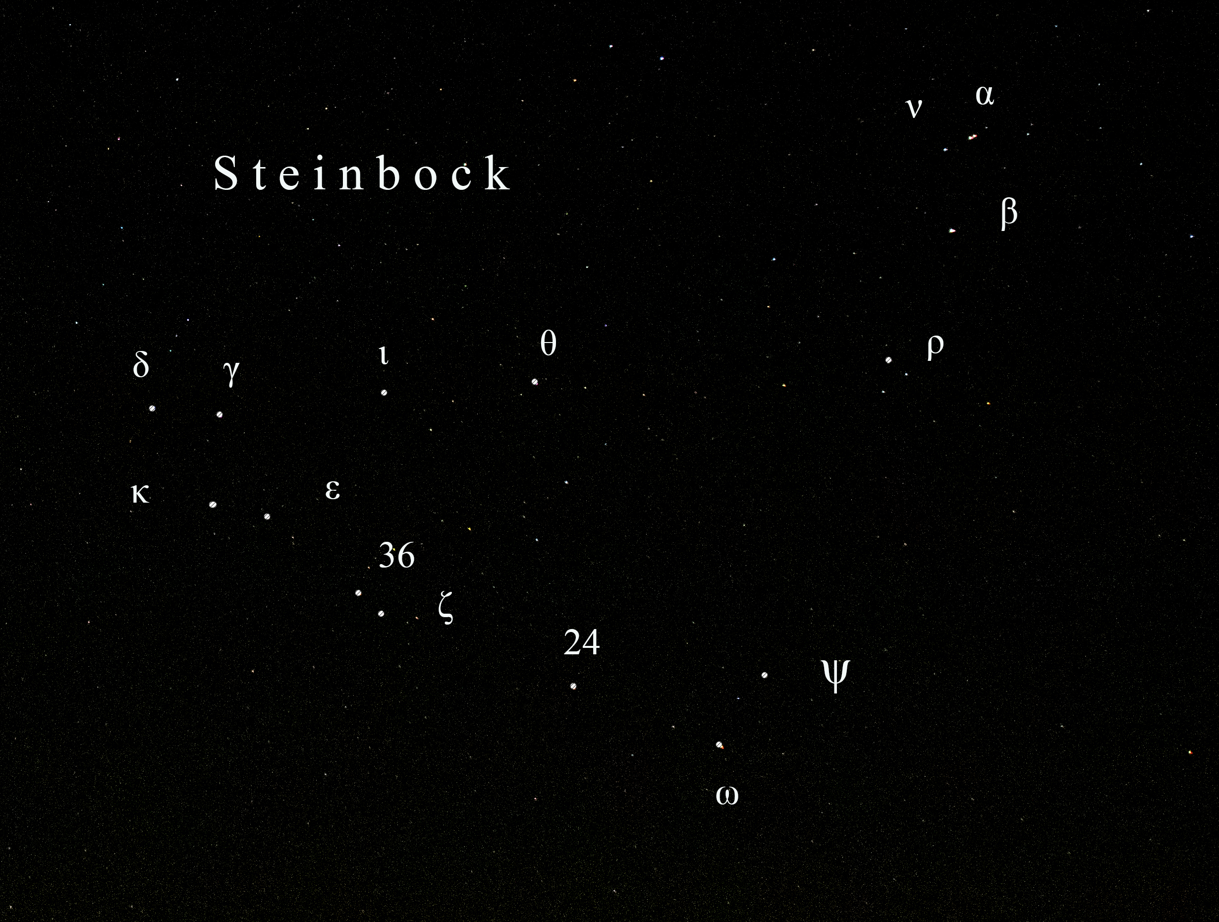 Steinbock