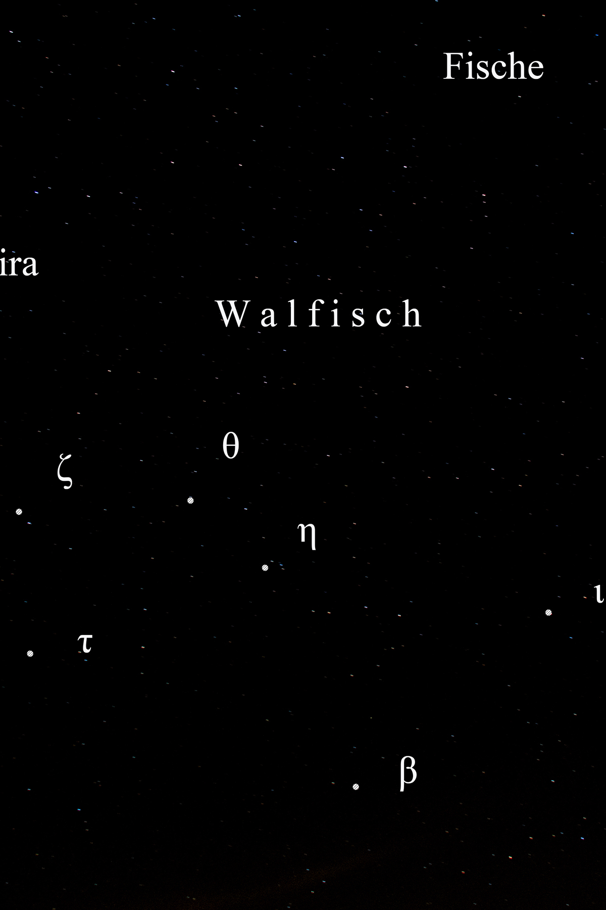 Walfisch